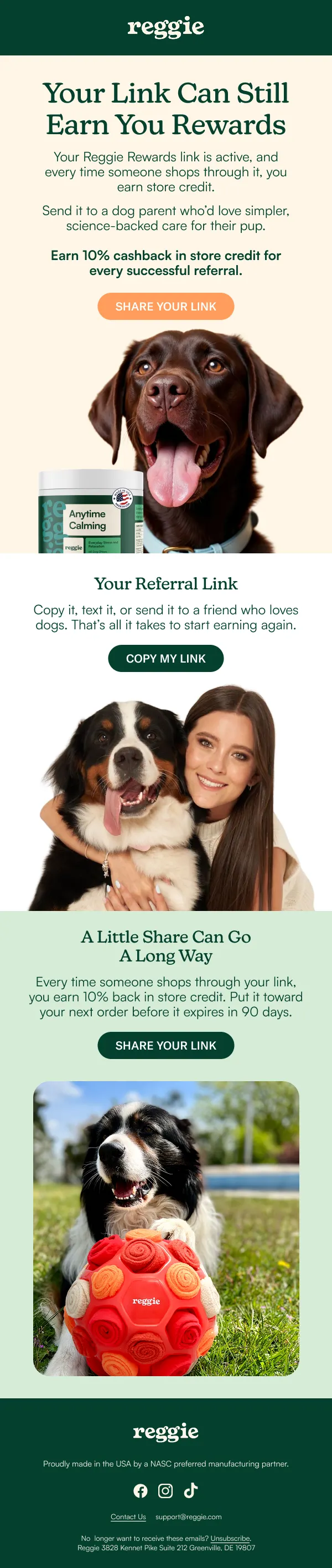 Reggie — Referral reactivation 2